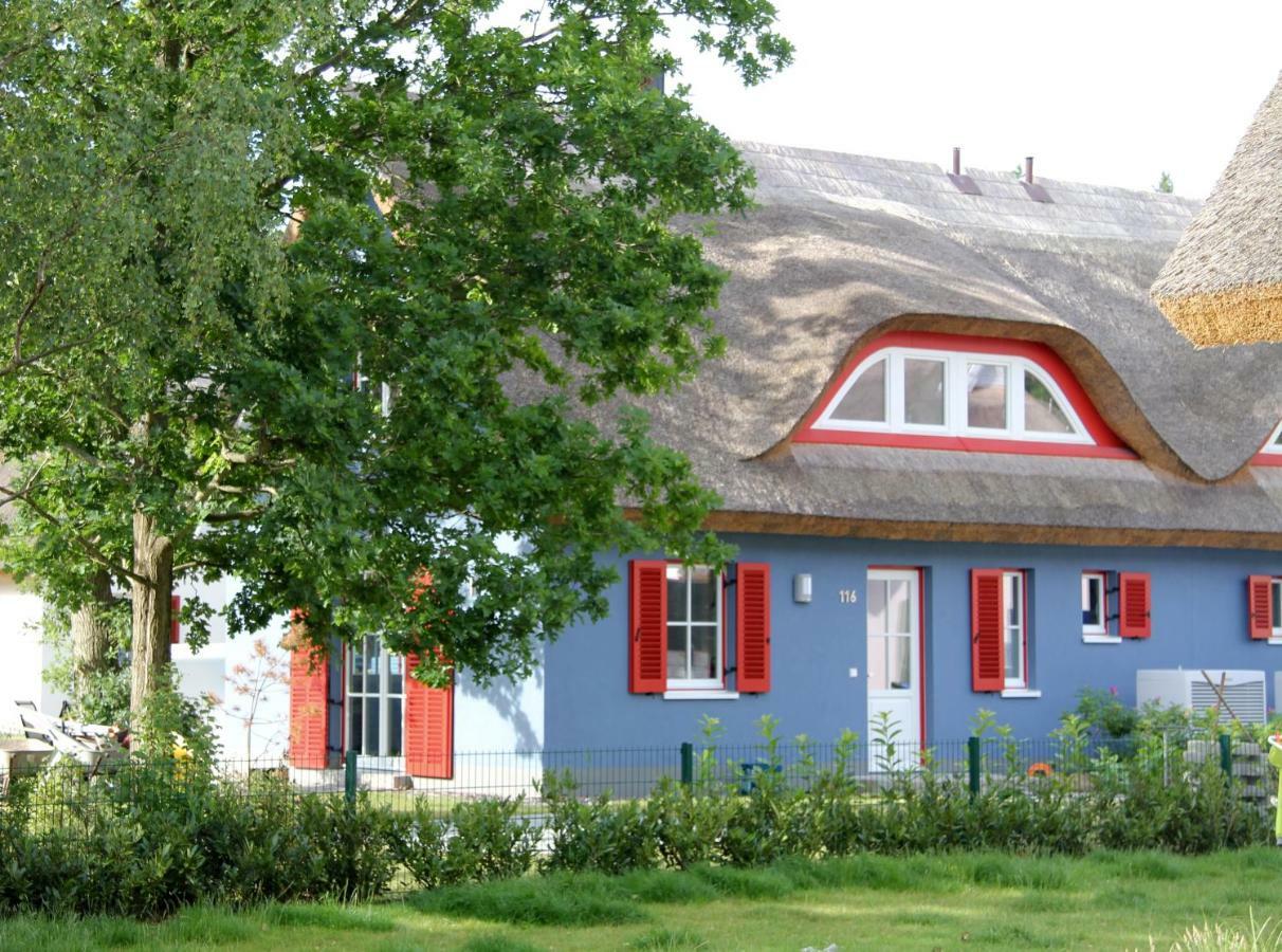 Strandhaus Lucky, Sauna, Garten, Kamin, Strandnah Glowe Ngoại thất bức ảnh